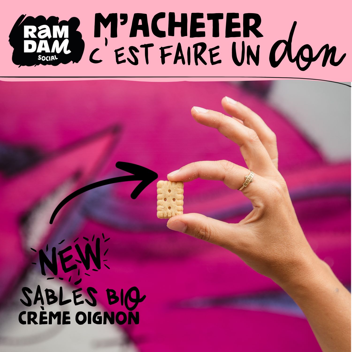 SABLE CREME OIGNON BIO